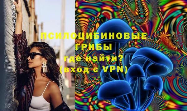 ПСИЛОЦИБИНОВЫЕ ГРИБЫ Балахна