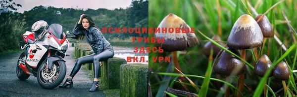 ПСИЛОЦИБИНОВЫЕ ГРИБЫ Балахна